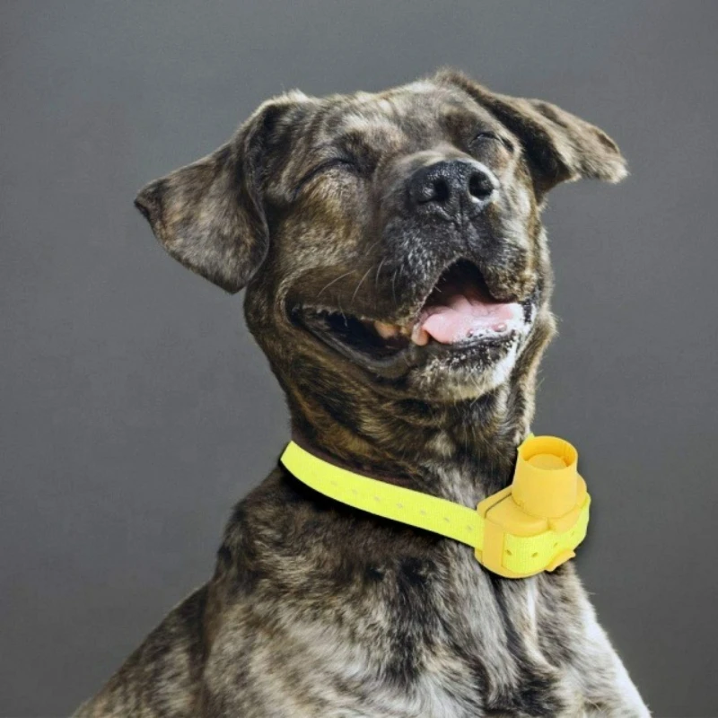 Outdoor Hunting Dog Collar - 改良型屋外ハンティングドッグビーパーカラー、防水ブザー追跡トレーナー、8モードプロフェッショナルトレーニングドッグカラー