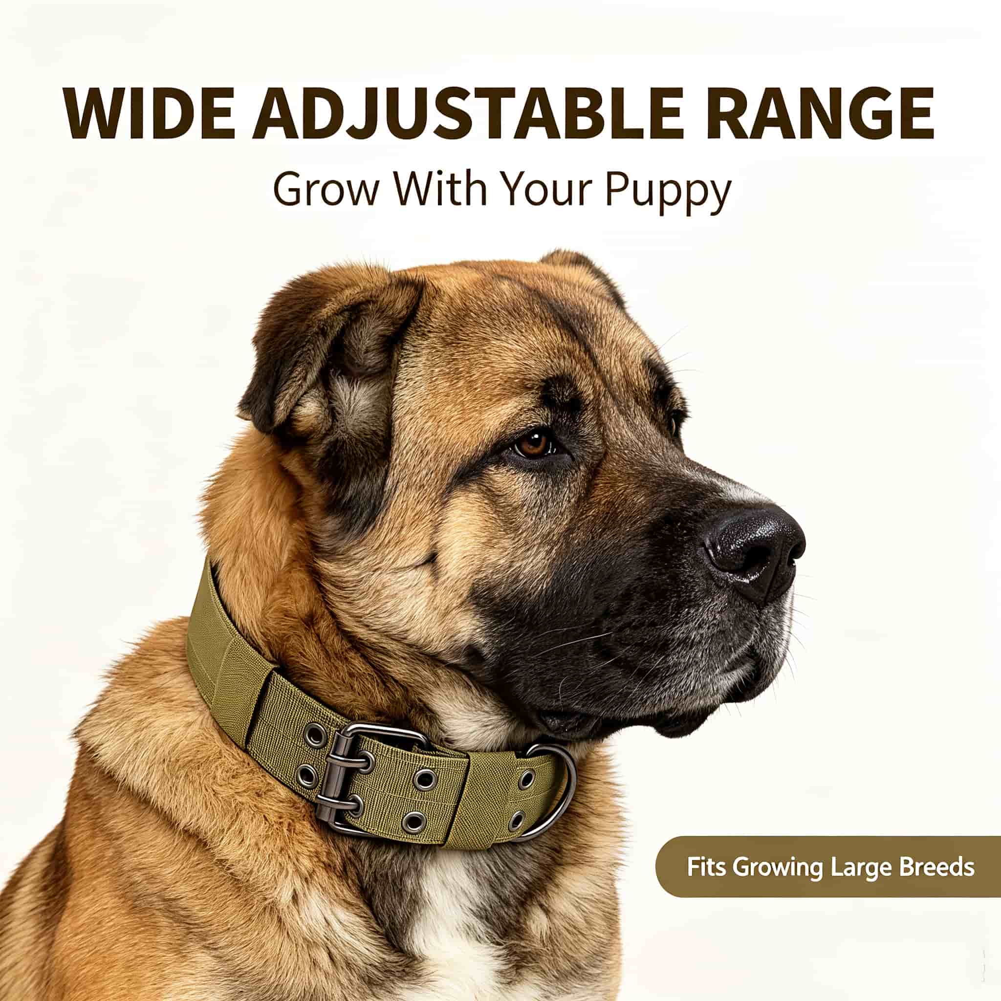 迷彩柄タクティカルドッグカラー、頑丈なナイロン製、調節可能な - Outdoor Hunting Dog Collar のレビューと価格