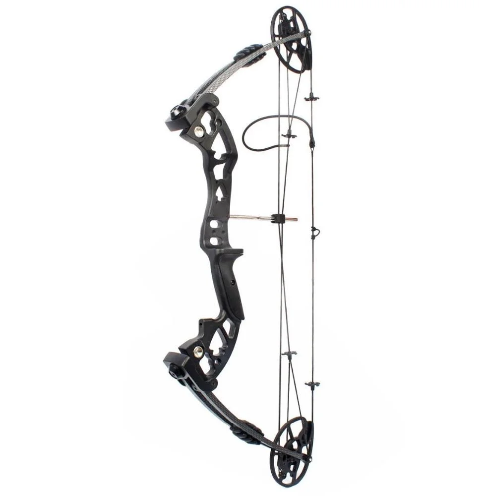 M120 コンパウンドボウ 新設計 CNCカム 調整可能 ハ - Hunting Bow Compound のレビューと価格