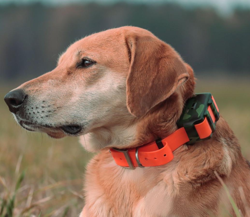 ICAR IK122M 2000mahドッグGPS首輪 4G - Outdoor Hunting Dog Collar のレビューと価格