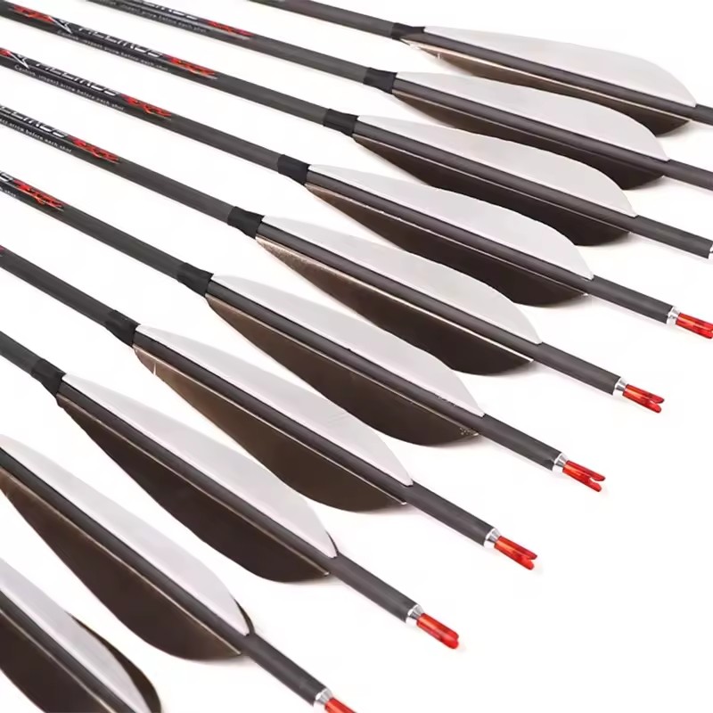 リカーブおよびコンパウンドボウハンティング用のピュアカーボン - Hunting Bow Compound のレビューと価格