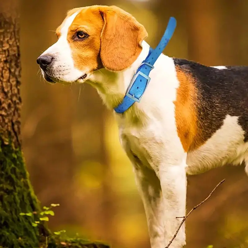 TPU製屋外ペット安全首輪 犬用ネックレス - 夜間反射式ハ - Outdoor Hunting Dog Collar のレビューと価格